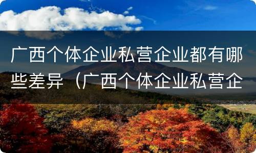 广西个体企业私营企业都有哪些差异（广西个体企业私营企业都有哪些差异呢）