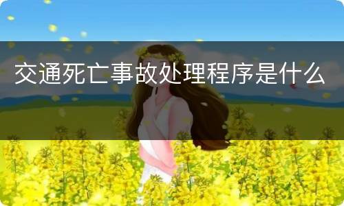 交通死亡事故处理程序是什么