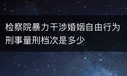 检察院暴力干涉婚姻自由行为刑事量刑档次是多少