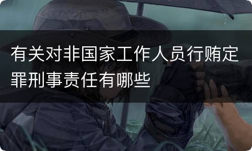 有关对非国家工作人员行贿定罪刑事责任有哪些
