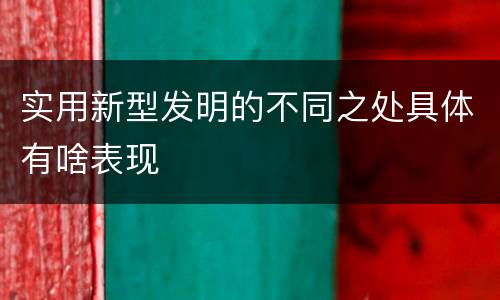 实用新型发明的不同之处具体有啥表现