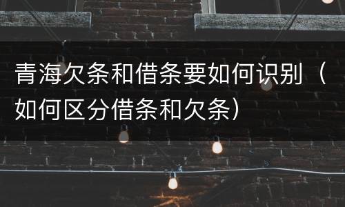 青海欠条和借条要如何识别（如何区分借条和欠条）