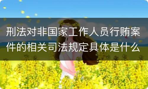 刑法对非国家工作人员行贿案件的相关司法规定具体是什么