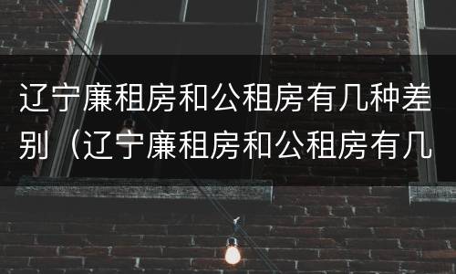 辽宁廉租房和公租房有几种差别（辽宁廉租房和公租房有几种差别在哪）