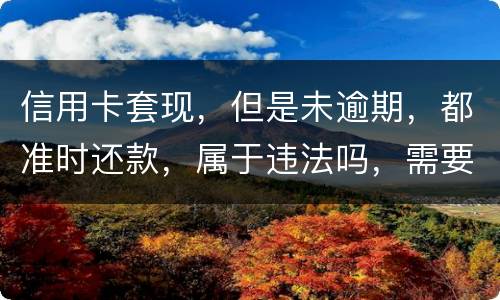 信用卡套现，但是未逾期，都准时还款，属于违法吗，需要付法律责任吗