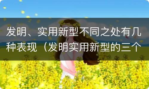 发明、实用新型不同之处有几种表现（发明实用新型的三个特点）