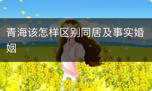 青海该怎样区别同居及事实婚姻