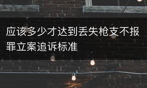 应该多少才达到丢失枪支不报罪立案追诉标准