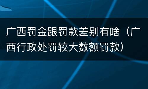 广西罚金跟罚款差别有啥（广西行政处罚较大数额罚款）