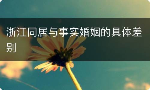 浙江同居与事实婚姻的具体差别