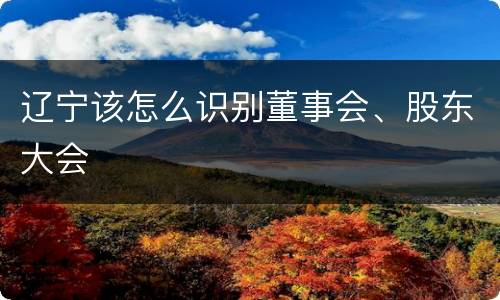 辽宁该怎么识别董事会、股东大会