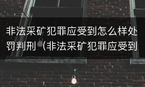 非法采矿犯罪应受到怎么样处罚判刑（非法采矿犯罪应受到怎么样处罚判刑多久）