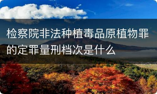 检察院非法种植毒品原植物罪的定罪量刑档次是什么
