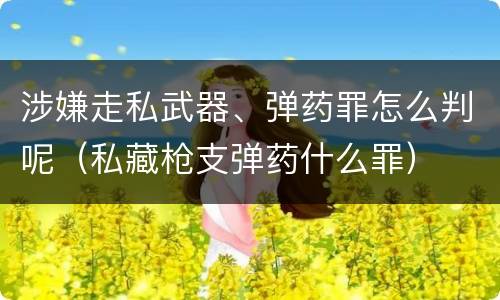 涉嫌走私武器、弹药罪怎么判呢（私藏枪支弹药什么罪）