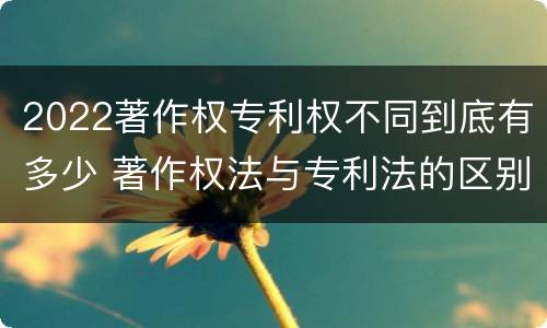 2022著作权专利权不同到底有多少 著作权法与专利法的区别
