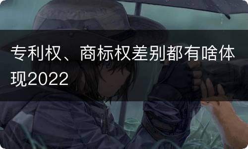 专利权、商标权差别都有啥体现2022