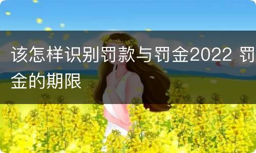 该怎样识别罚款与罚金2022 罚金的期限
