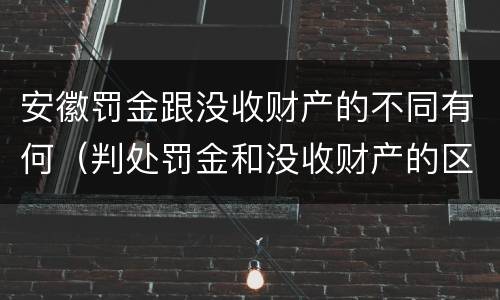 安徽罚金跟没收财产的不同有何（判处罚金和没收财产的区别）