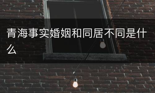 青海事实婚姻和同居不同是什么
