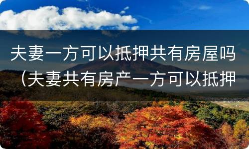 夫妻一方可以抵押共有房屋吗（夫妻共有房产一方可以抵押吗）