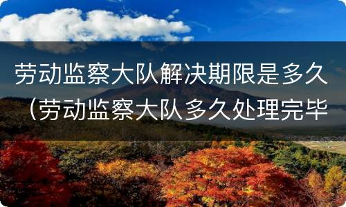 劳动监察大队解决期限是多久（劳动监察大队多久处理完毕）