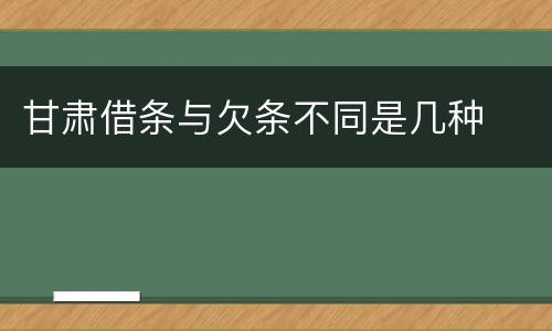 甘肃借条与欠条不同是几种