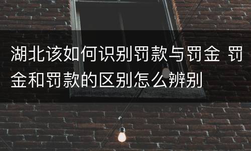 湖北该如何识别罚款与罚金 罚金和罚款的区别怎么辨别