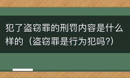 犯了盗窃罪的刑罚内容是什么样的（盗窃罪是行为犯吗?）