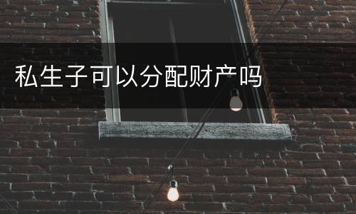 私生子可以分配财产吗