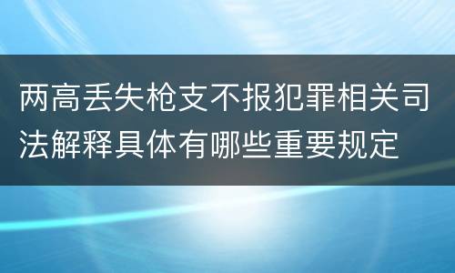 两高丢失枪支不报犯罪相关司法解释具体有哪些重要规定