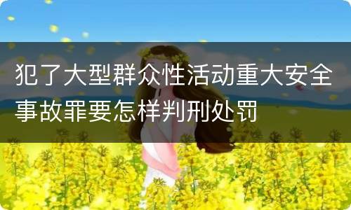 犯了大型群众性活动重大安全事故罪要怎样判刑处罚
