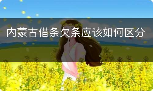 内蒙古借条欠条应该如何区分