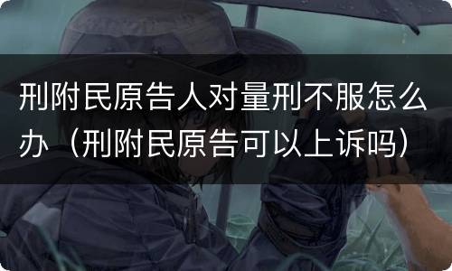 刑附民原告人对量刑不服怎么办（刑附民原告可以上诉吗）