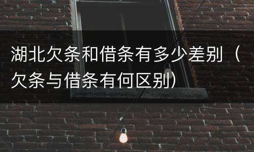 湖北欠条和借条有多少差别（欠条与借条有何区别）