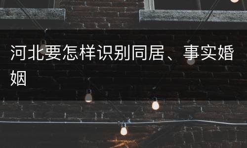 河北要怎样识别同居、事实婚姻