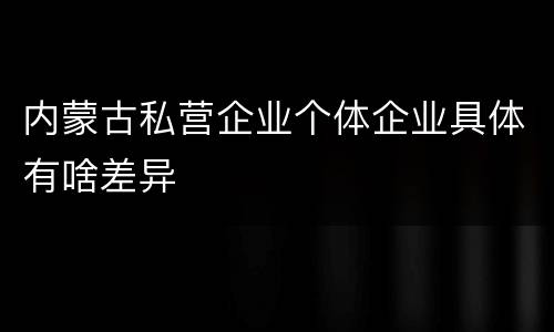 内蒙古私营企业个体企业具体有啥差异