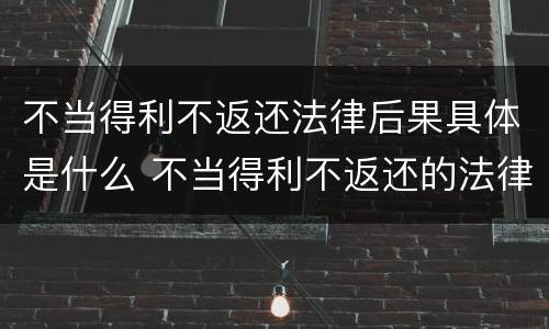 不当得利不返还法律后果具体是什么 不当得利不返还的法律后果