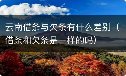 云南借条与欠条有什么差别（借条和欠条是一样的吗）