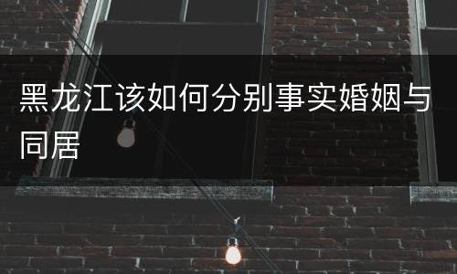 黑龙江该如何分别事实婚姻与同居