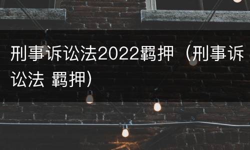 刑事诉讼法2022羁押（刑事诉讼法 羁押）