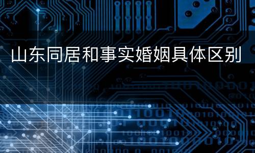 山东同居和事实婚姻具体区别