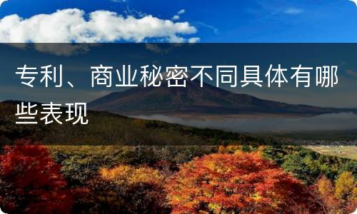 专利、商业秘密不同具体有哪些表现