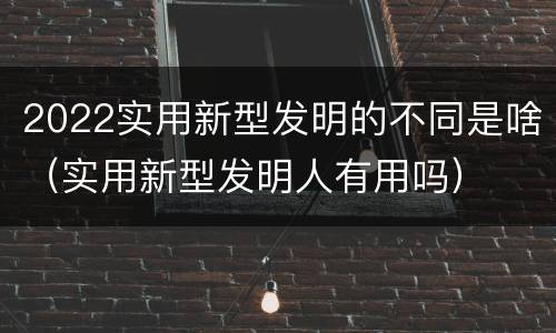 2022实用新型发明的不同是啥（实用新型发明人有用吗）
