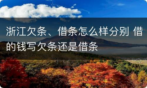 浙江欠条、借条怎么样分别 借的钱写欠条还是借条