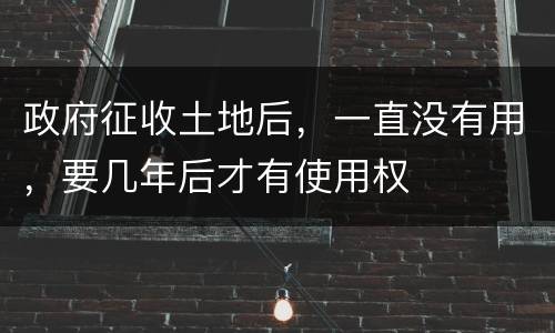 政府征收土地后，一直没有用，要几年后才有使用权
