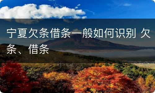 宁夏欠条借条一般如何识别 欠条、借条