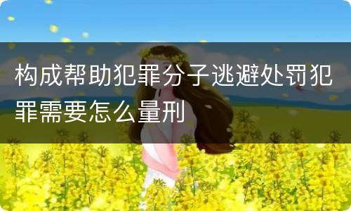构成帮助犯罪分子逃避处罚犯罪需要怎么量刑
