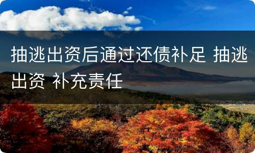 抽逃出资后通过还债补足 抽逃出资 补充责任