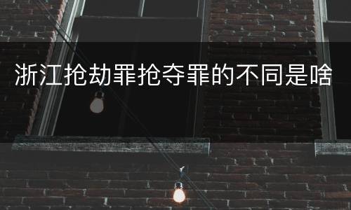 浙江抢劫罪抢夺罪的不同是啥