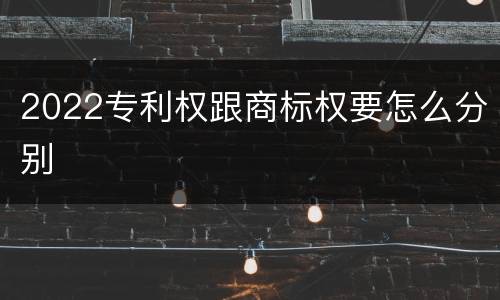 2022专利权跟商标权要怎么分别
